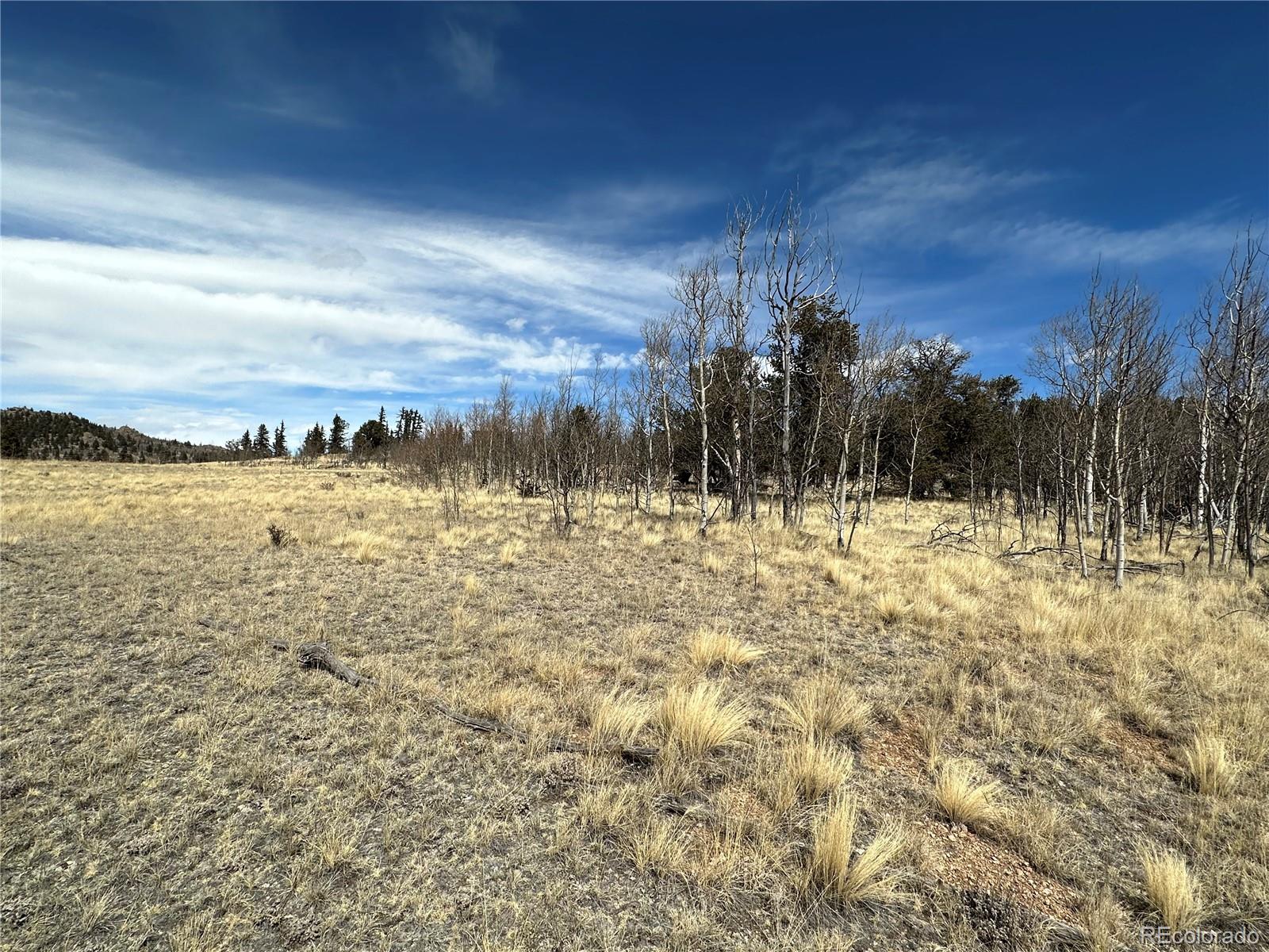 489 Highfill Road Jefferson, CO 80456 - Photo 19 of 21 Gallery Image 19