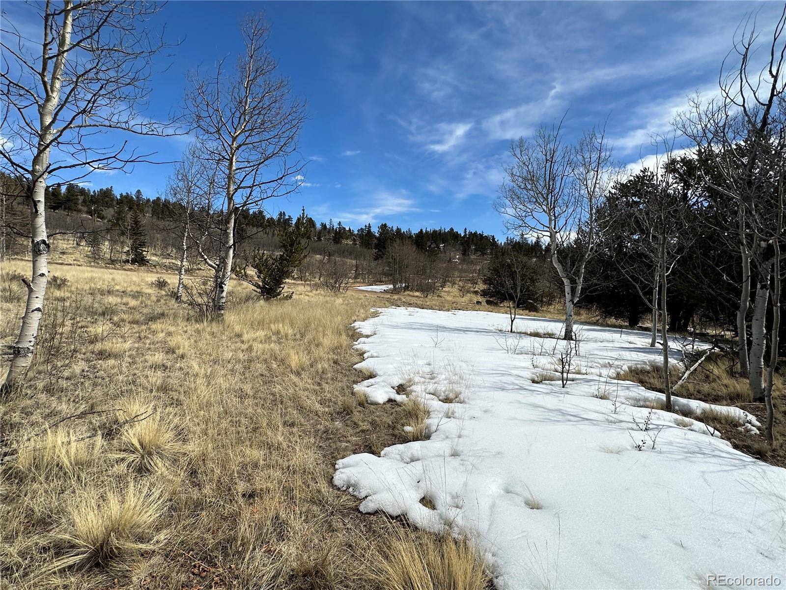 489 Highfill Road Jefferson, CO 80456 - Photo 20 of 21 Gallery Image 20