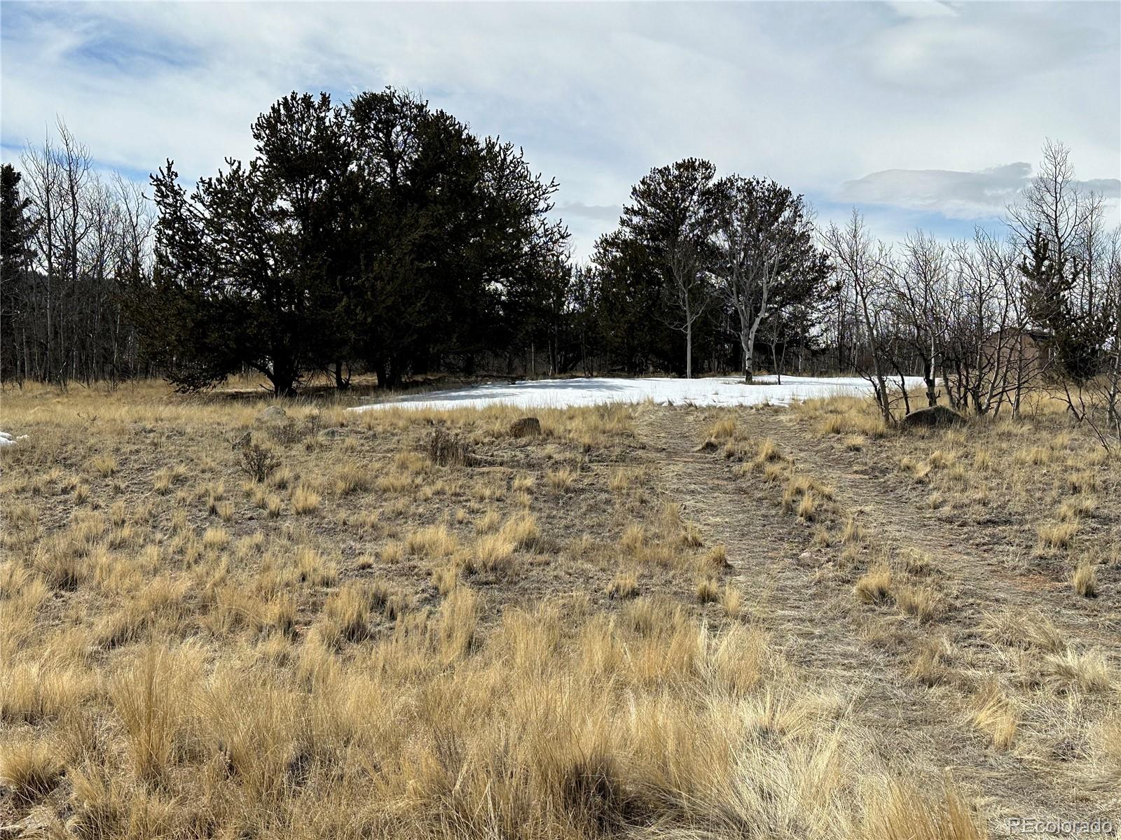 489 Highfill Road Jefferson, CO 80456 - Photo 21 of 21 Gallery Image 21