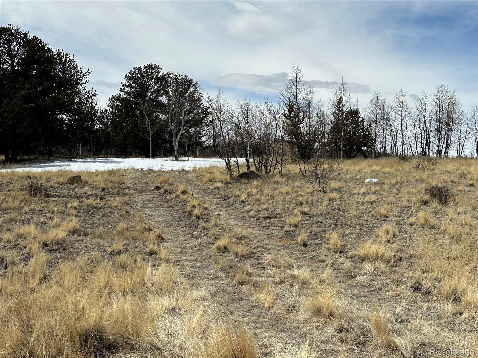 489 Highfill Road Jefferson, CO 80456 - Photo 3 of 21 Gallery Image 3