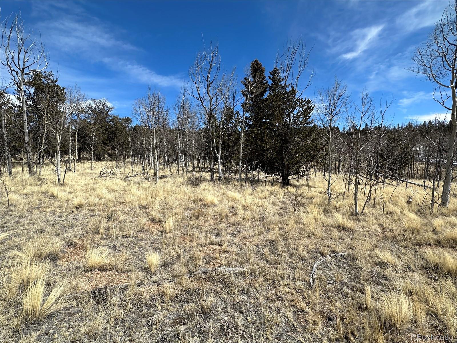 489 Highfill Road Jefferson, CO 80456 - Photo 9 of 21 Gallery Image 9