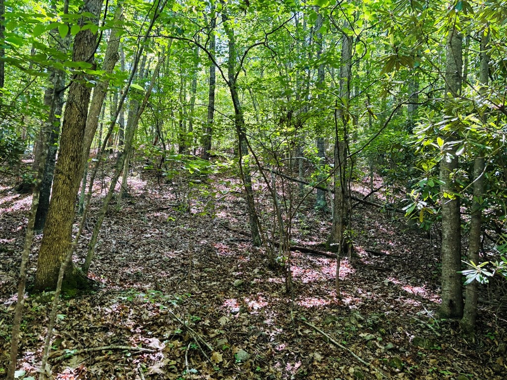 Tbd Pleasantview Road, Unit 72 Austinville, VA 24312 - Photo 60 of 63 Gallery Image 60