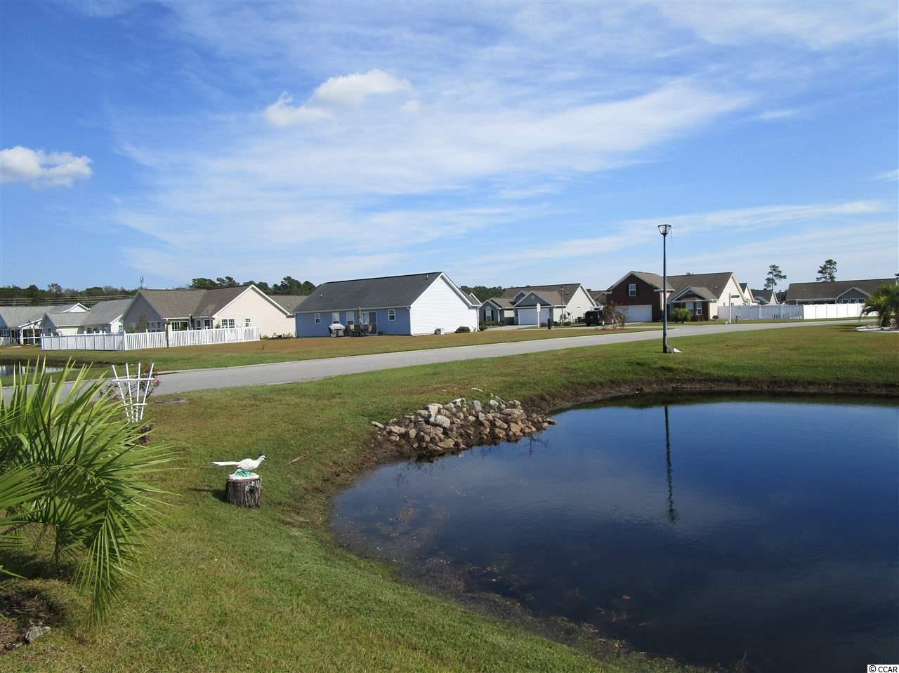 301 St Patties Loop Murrells Inlet, SC 29576 - Photo 15 of 20 Gallery Image 15