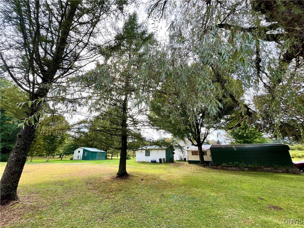 423 Co Route Fulton, NY 13069 - Photo 15 of 39 Side yard