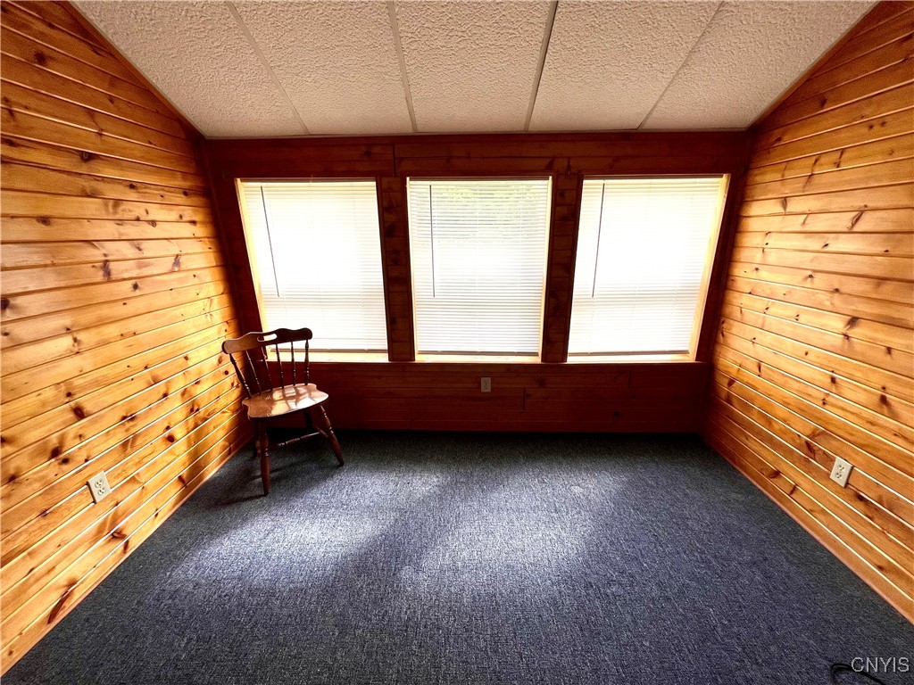 423 Co Route Fulton, NY 13069 - Photo 20 of 39 Sunporch with knotty Pine walls