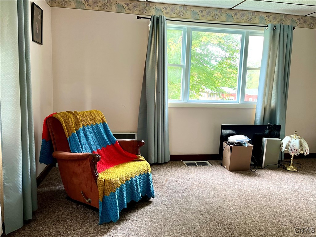 423 Co Route Fulton, NY 13069 - Photo 28 of 39 Nice big window in the living room lets natural li