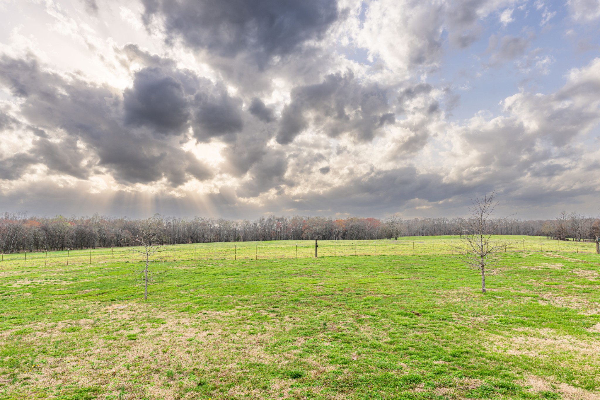 105 Peppertown Road Loretto, TN 38469 - Photo 31 of 37 a view of an ocean