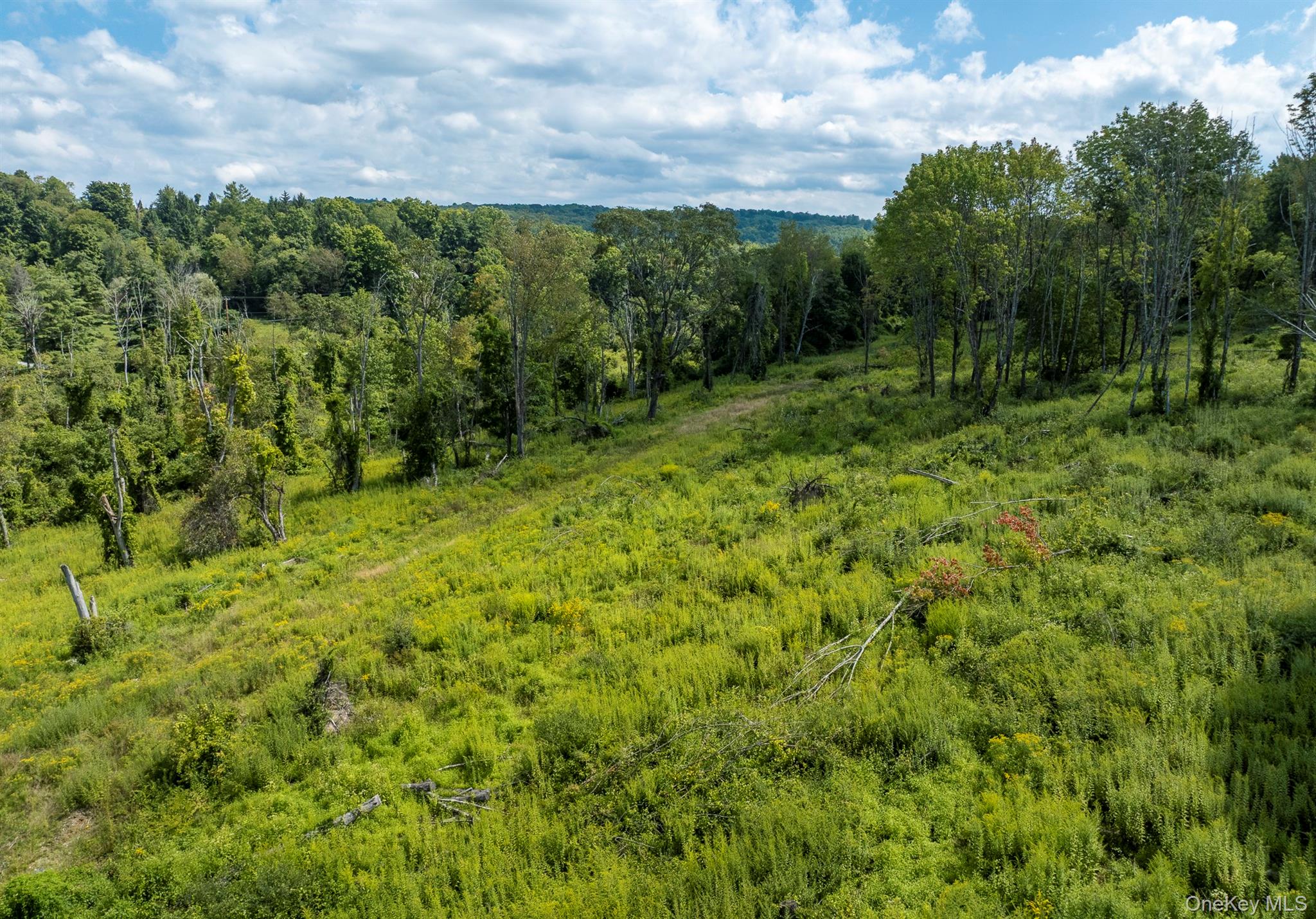 Camby Road Millbrook, NY 12545 - Photo 25 of 30 Gallery Image 25