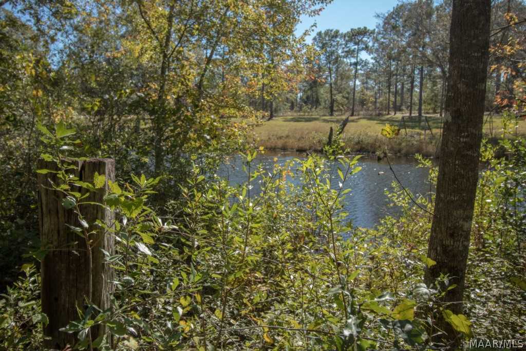 726 Spring Creek Road Geneva, AL 36340 - Photo 13 of 34 Gallery Image 13