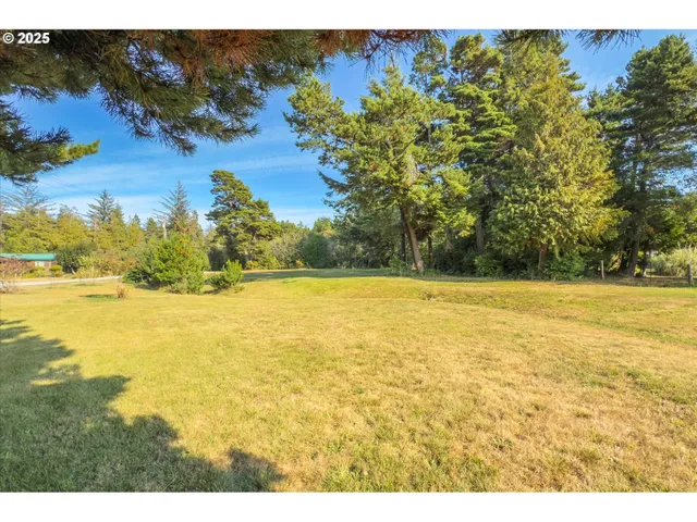 a view of a yard with tree s