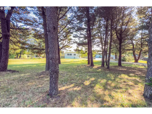 a view of outdoor space with trees