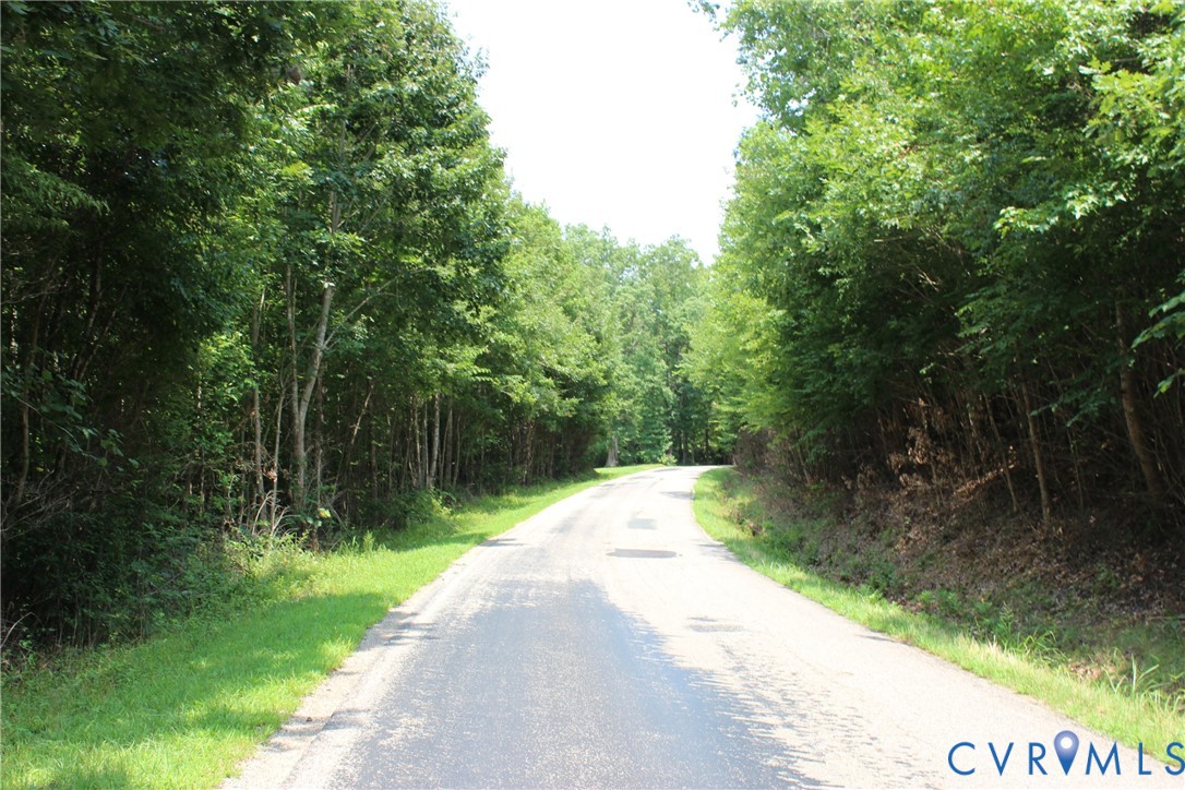0 White Oak Road Dewitt, VA 23840 - Photo 9 of 9 Paved road bordered by natural foliage and mature