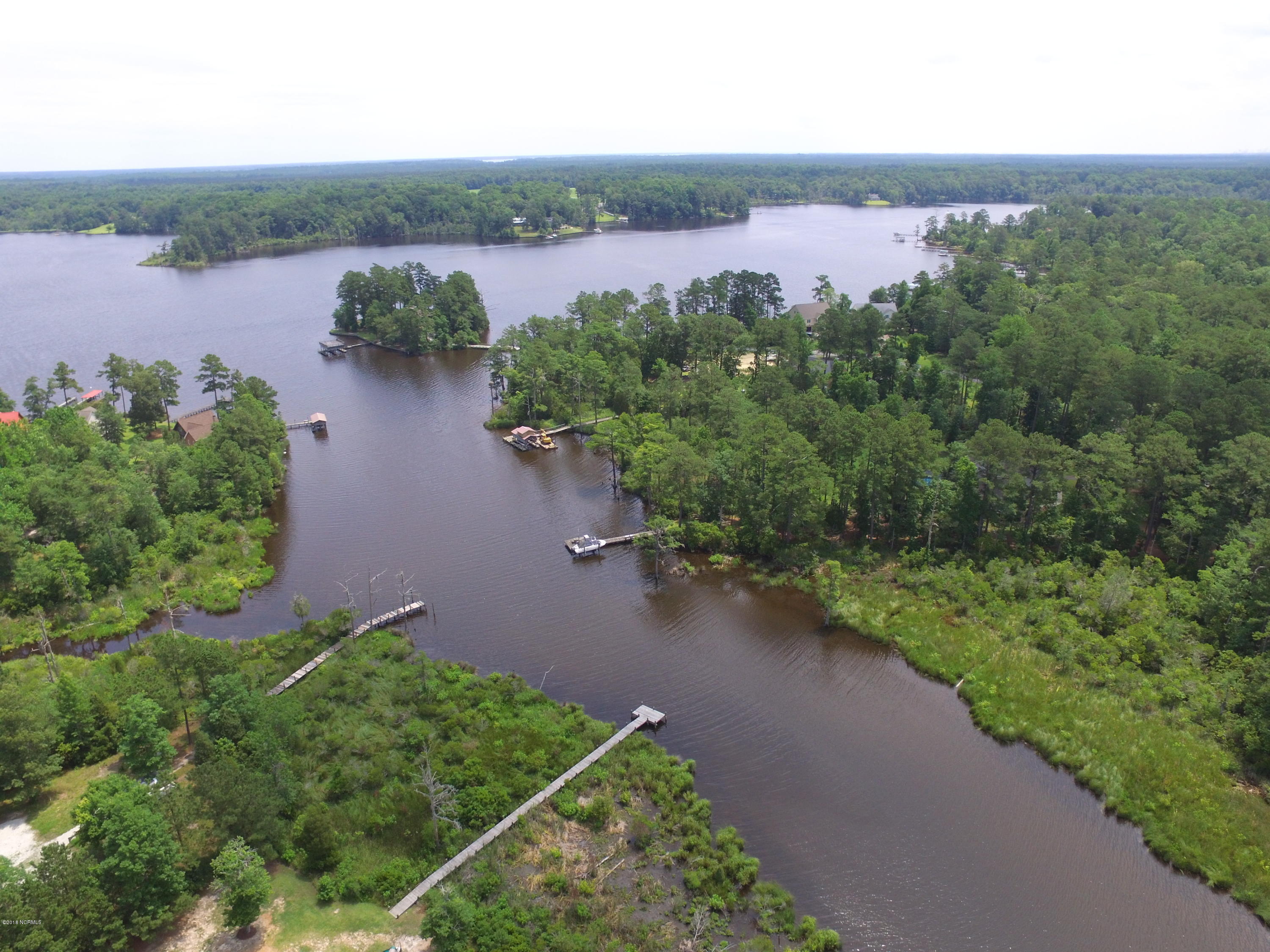 115 Bluff Road Chocowinity, NC 27817 - Photo 42 of 60 DJI_0062