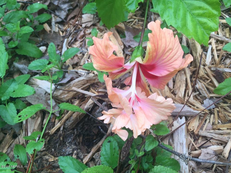 3599 North Canal Road Macclenny, FL 32063 - Photo 20 of 54 lush pool side foliage