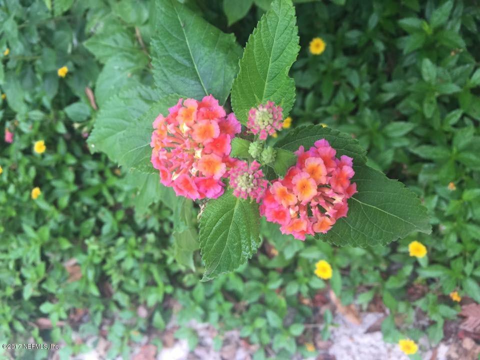 3599 North Canal Road Macclenny, FL 32063 - Photo 54 of 54 lush flowering plants