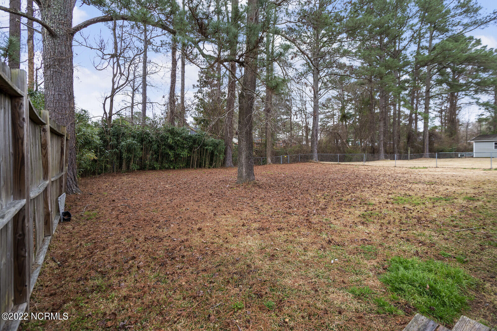 732 Dennis Road Jacksonville, NC 28546 - Photo 39 of 40 39_beth___MG_3370_mls