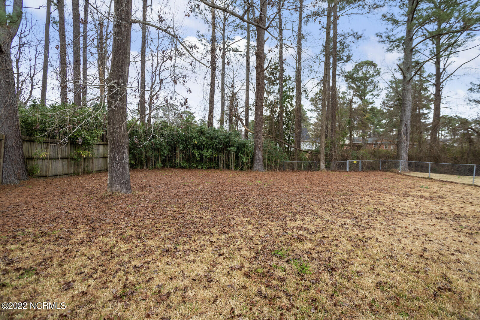 732 Dennis Road Jacksonville, NC 28546 - Photo 40 of 40 40_beth___MG_3410_mls