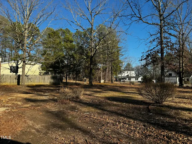 a view of a yard with plants and trees