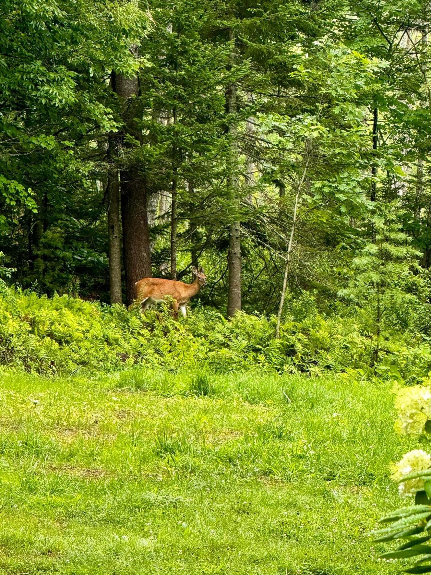 224 Tolman Road Warren, ME 04864 - Photo 75 of 75