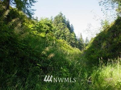 000 Minkler Road Montesano, WA 98563 - Photo 1 of 1 Gallery Image 1