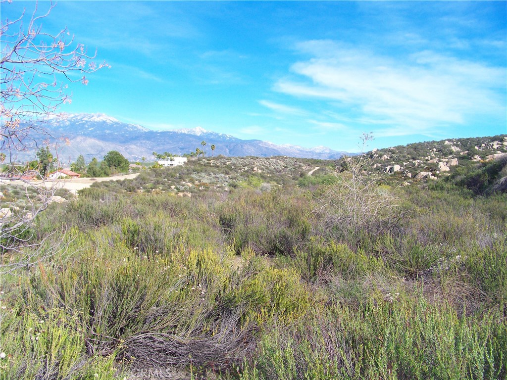 42540 Brix Road Hemet, CA 92544 - Photo 13 of 29 a view of mountain view with lush green forest