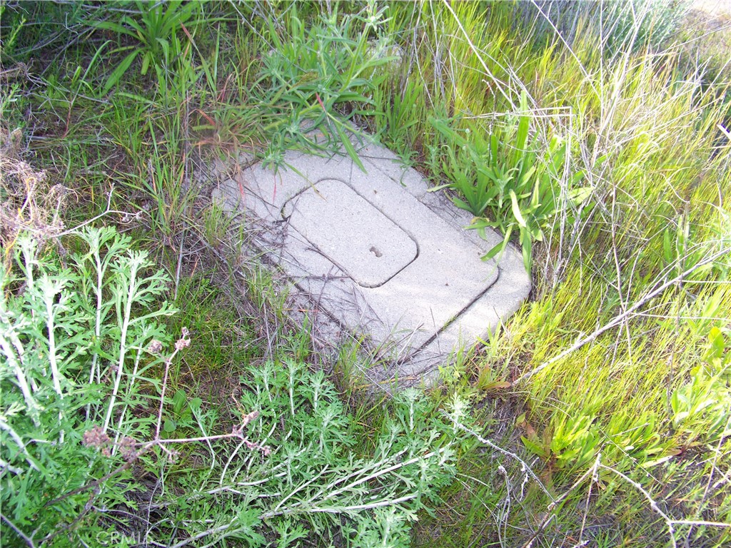 42540 Brix Road Hemet, CA 92544 - Photo 14 of 29 an aerial view of a house with a yard and large trees
