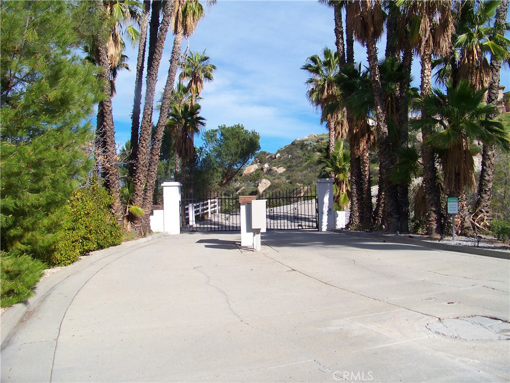 42540 Brix Road Hemet, CA 92544 - Photo 20 of 29 a row of palm trees in front of house