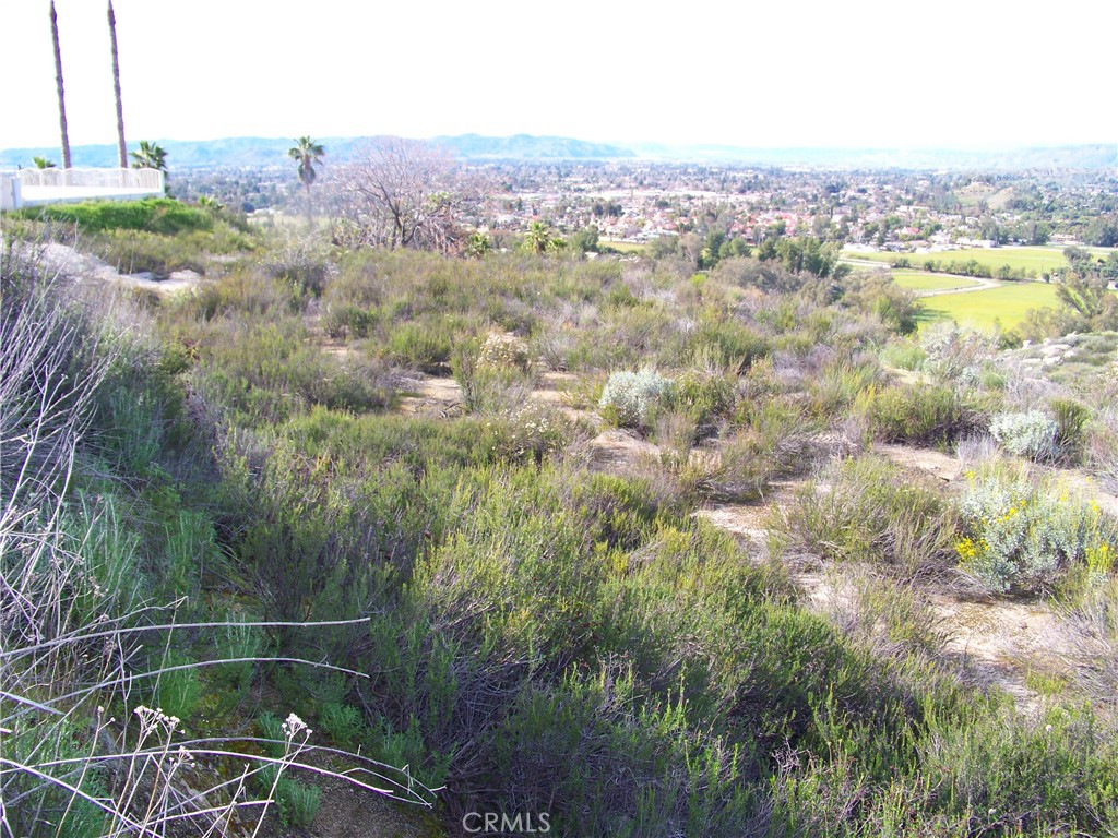 42540 Brix Road Hemet, CA 92544 - Photo 2 of 29