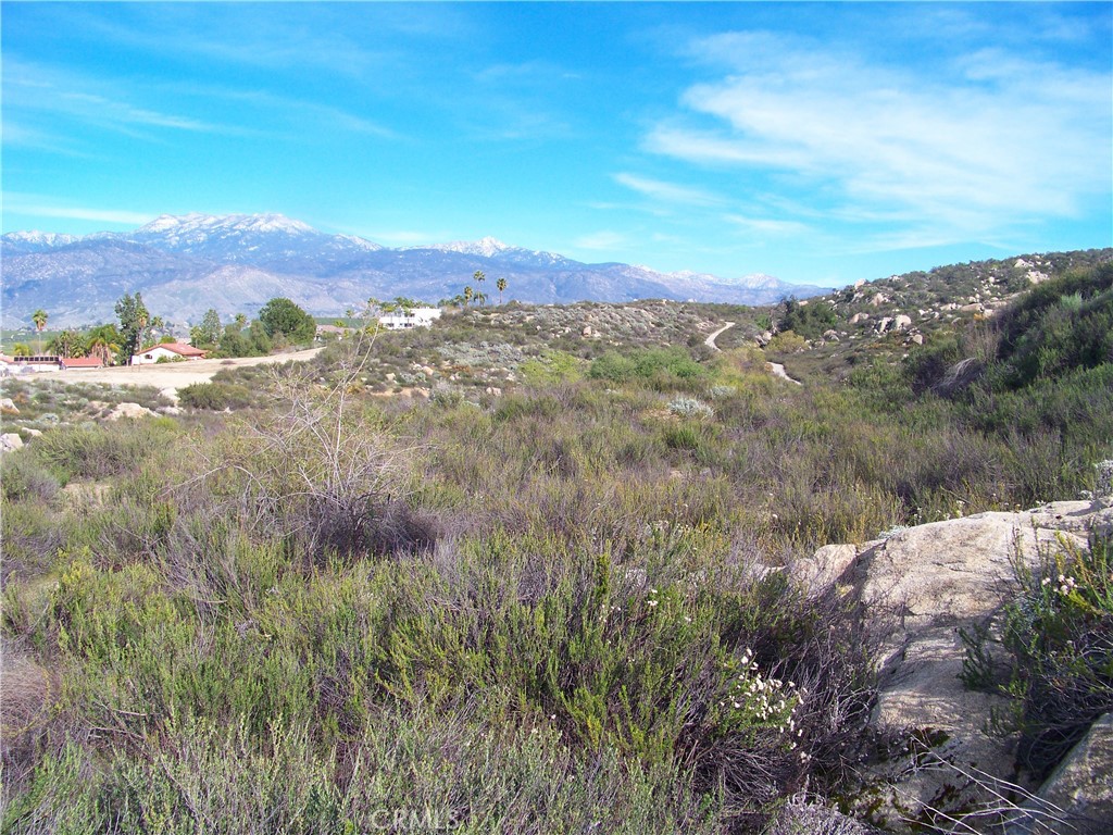 42540 Brix Road Hemet, CA 92544 - Photo 3 of 29 a view of a lush green field