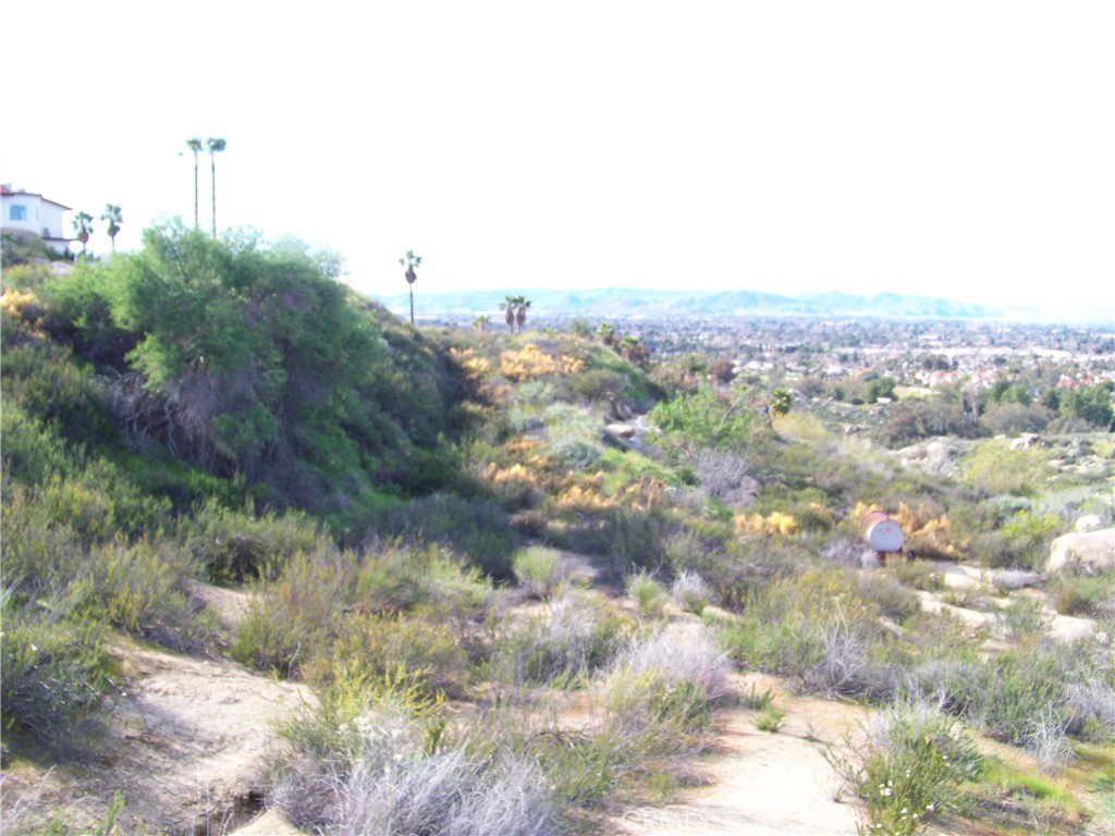 42540 Brix Road Hemet, CA 92544 - Photo 4 of 29 a view of a city