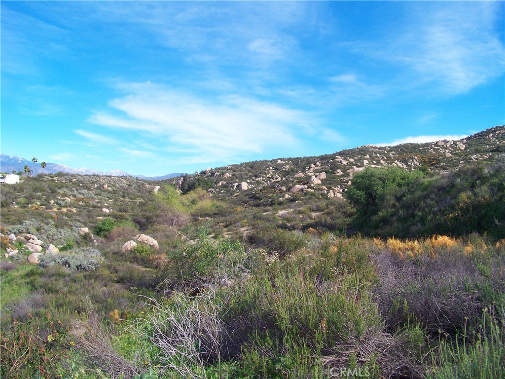 42540 Brix Road Hemet, CA 92544 - Photo 5 of 29