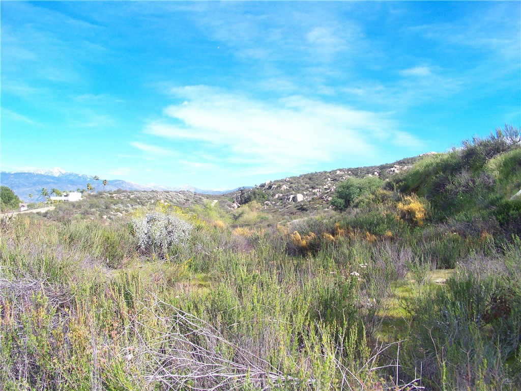 42540 Brix Road Hemet, CA 92544 - Photo 6 of 29 a view of lake and mountain