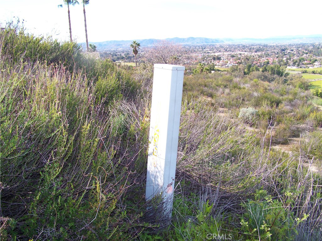 42540 Brix Road Hemet, CA 92544 - Photo 8 of 29 a view of a city