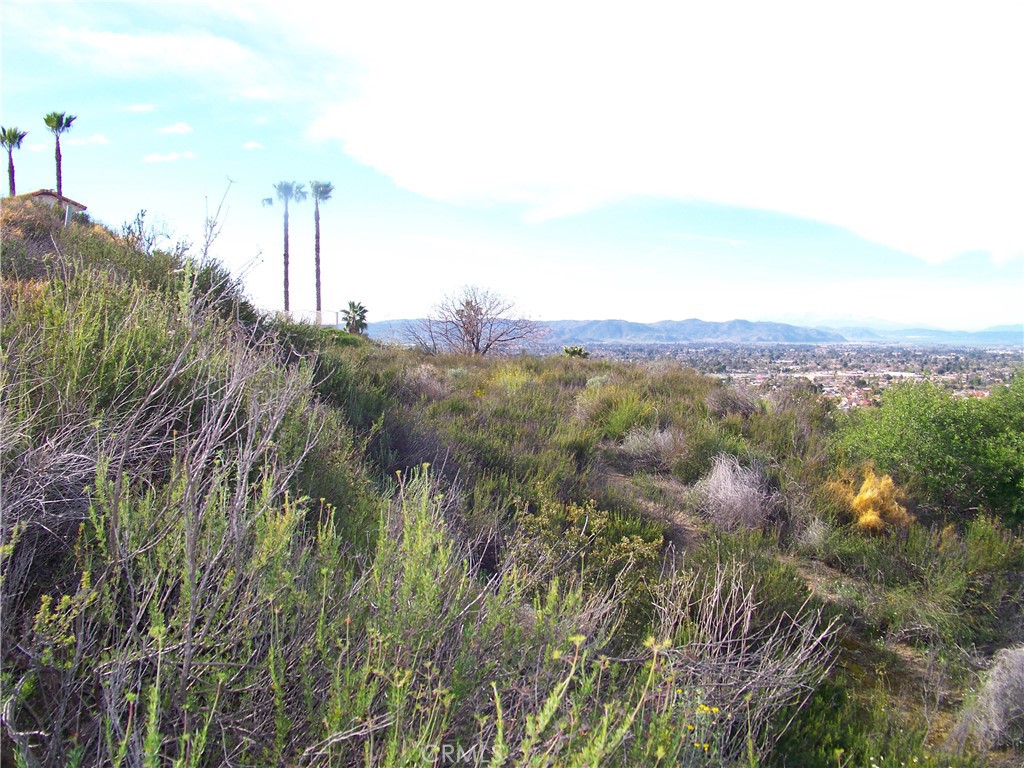42540 Brix Road Hemet, CA 92544 - Photo 10 of 29 a view of a city with lush green forest