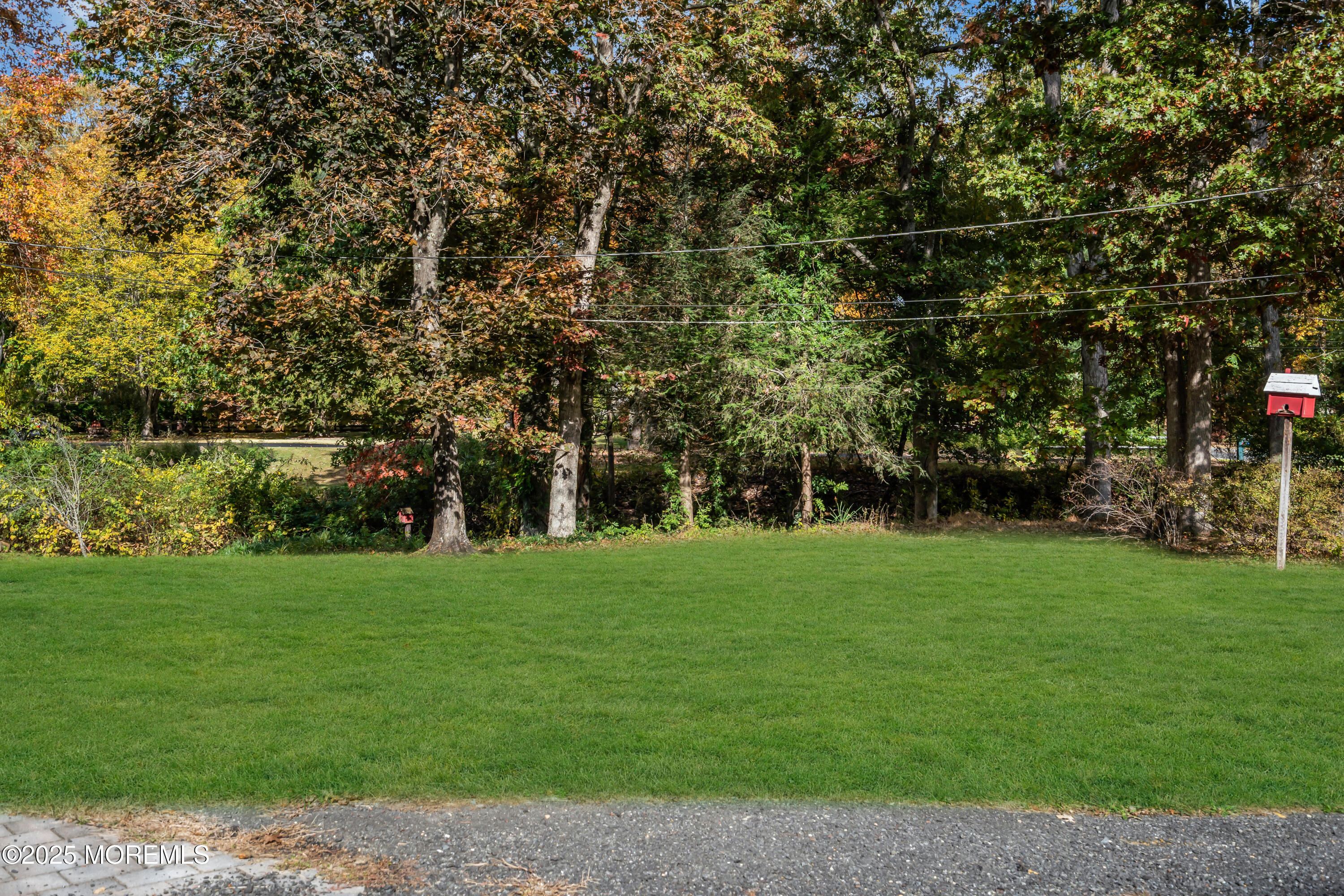 638 Freehold Road Jackson, NJ 08527 - Photo 49 of 61 a view of a field with a tree in the background