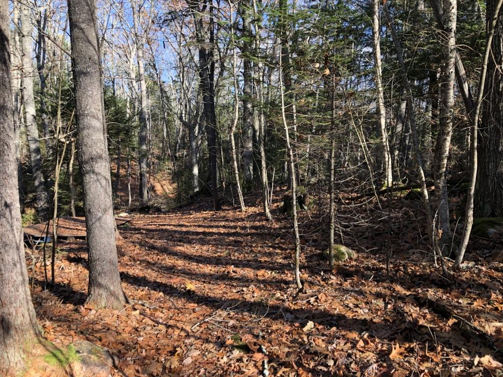 234 Keene Neck Road Bremen, ME 04551 - Photo 16 of 22 UNADJUSTEDNONRAW_thumb_5e5e