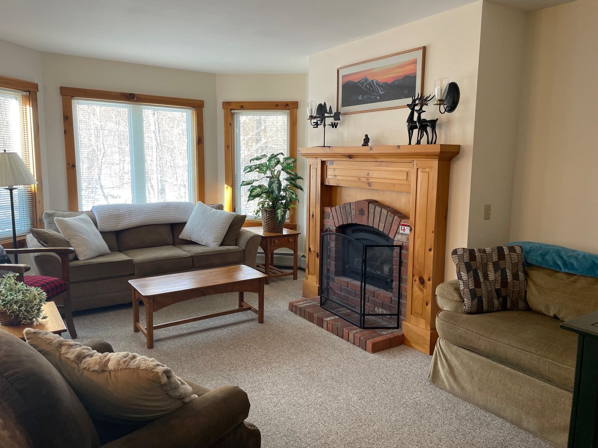 232 North Village Road, Unit 306 Jay, VT 05859 - Photo 16 of 19
