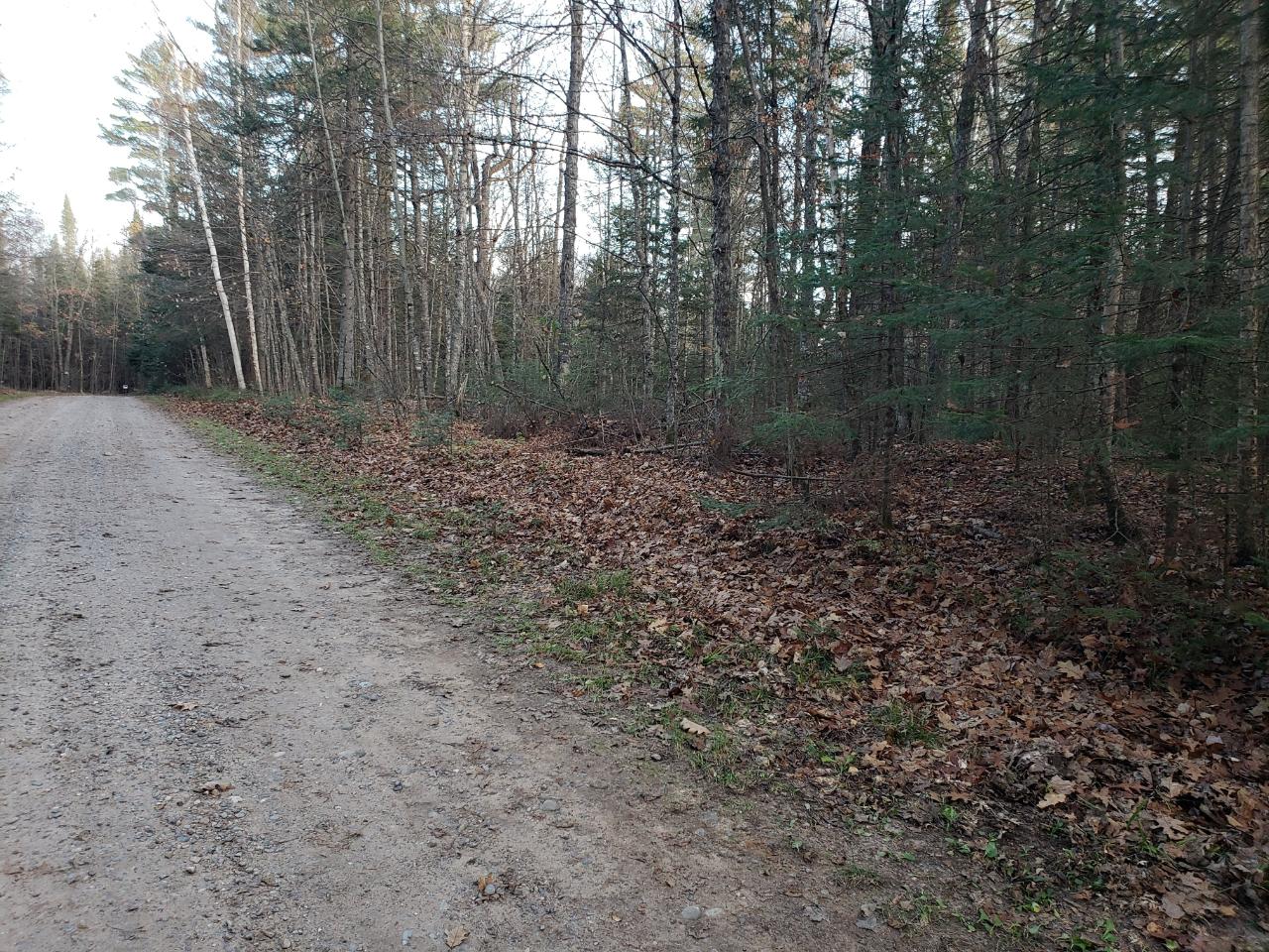 6-acres Spring Meadow Lane Eagle River, WI 54521 - Photo 4 of 8 Gallery Image 4