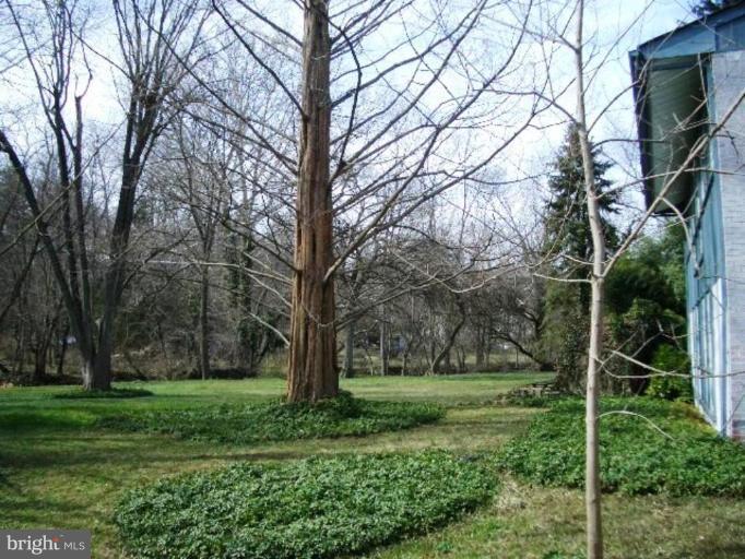 7904 Springway Road Towson, MD 21204 - Photo 4 of 13 a view of a yard with large trees
