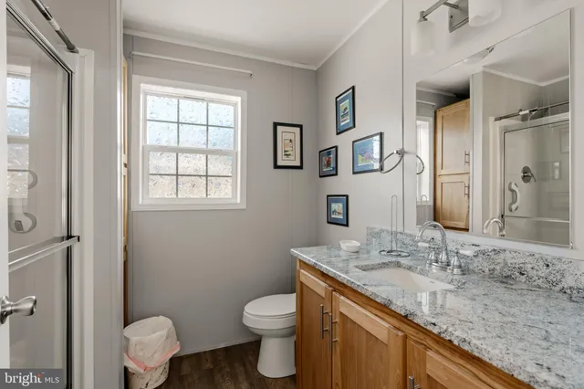 a bathroom with a granite countertop toilet sink and mirror