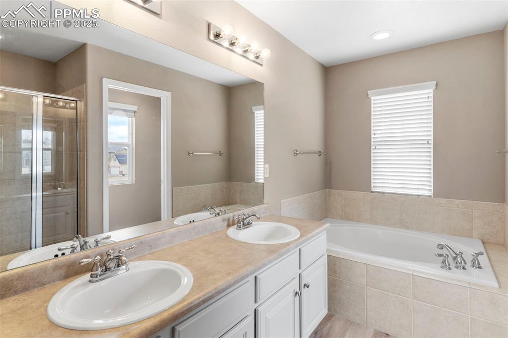7710 Sistine Lane Fountain, CO 80817 - Photo 13 of 33 a bathroom with a bathtub a sink and a mirror