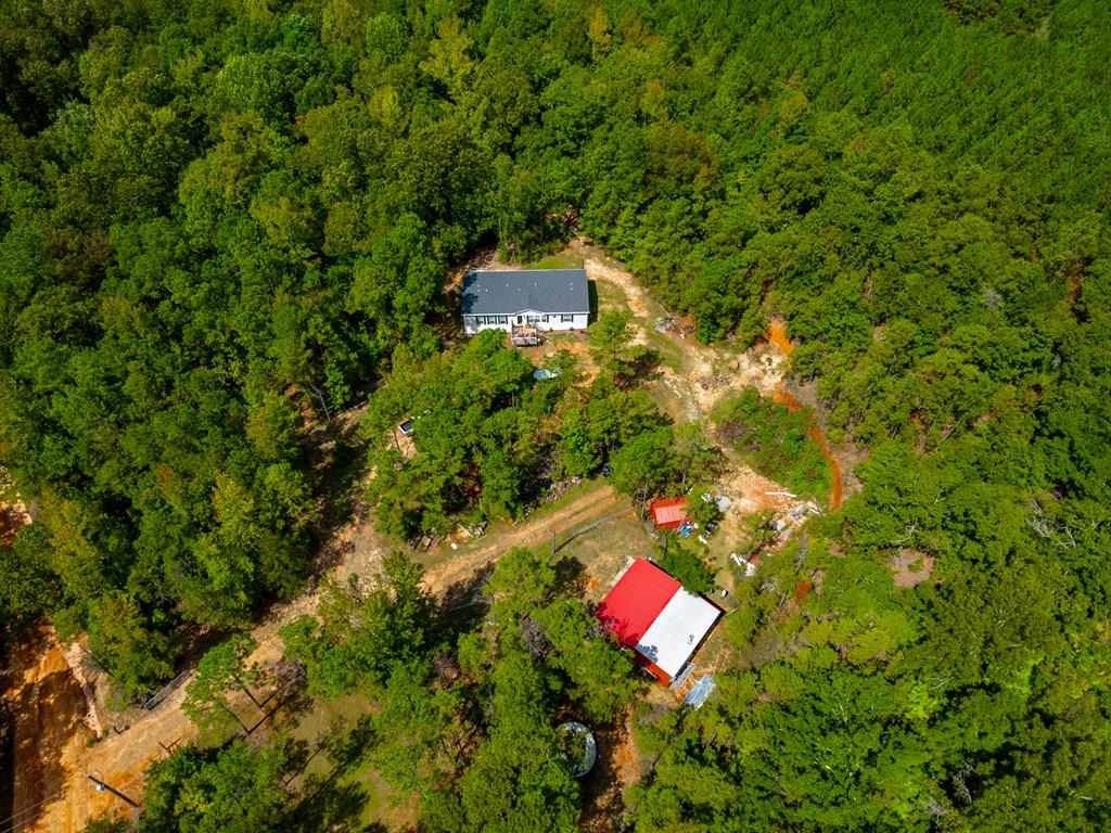 8535 Mathis Store Road Richland, GA 31825 - Photo 1 of 47 Main View