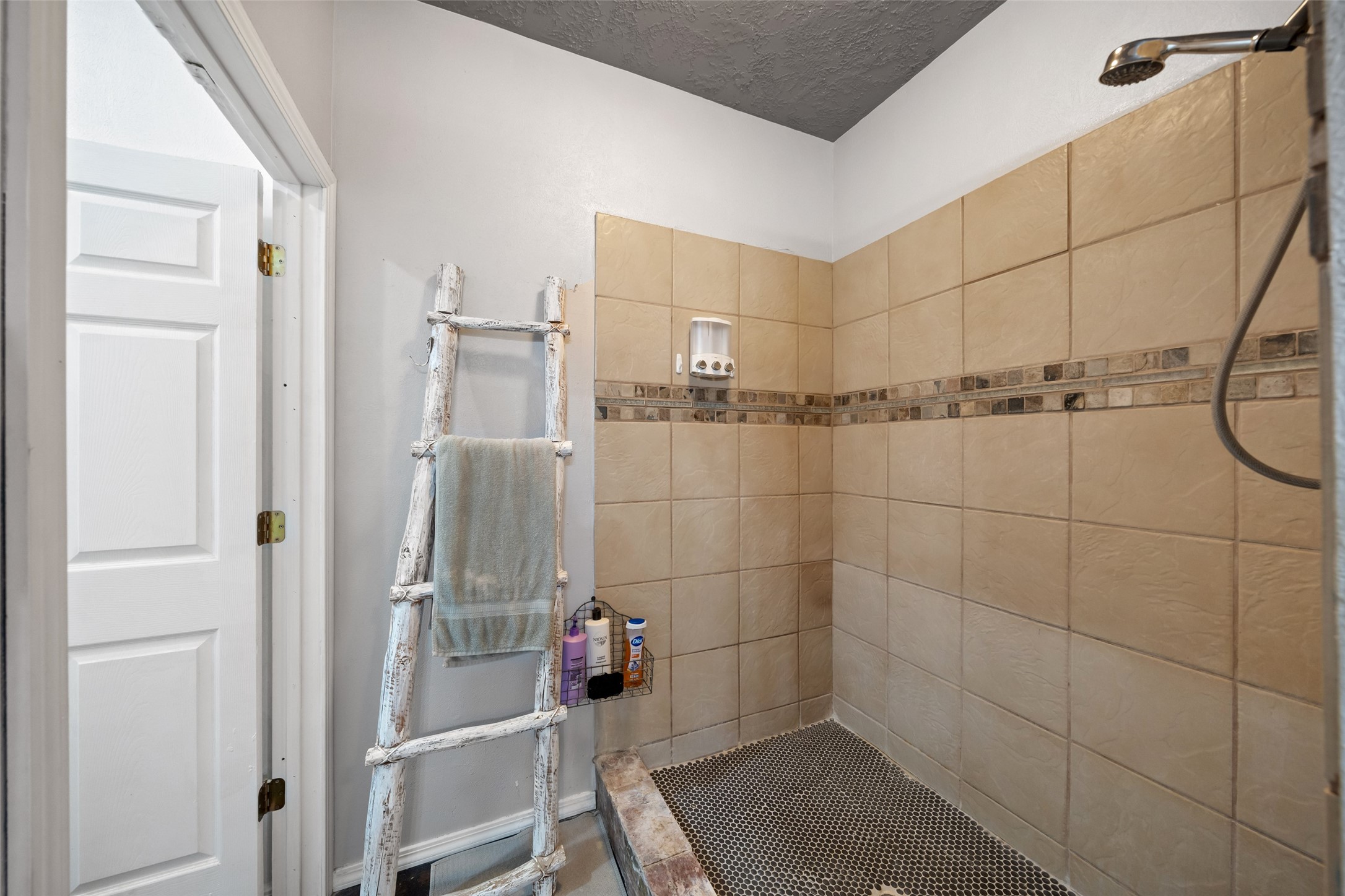 26407 Preston Avenue Spring, TX 77373 - Photo 23 of 38 Walk in shower