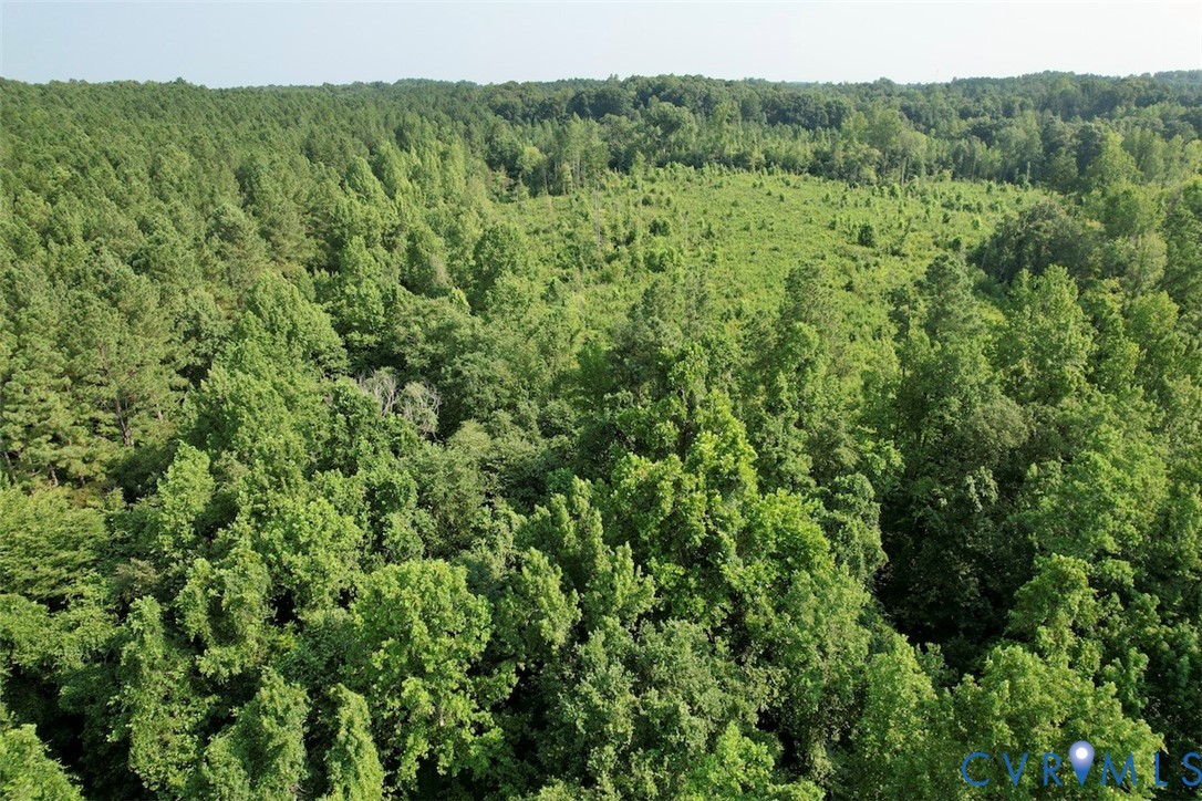 5211 Indian Oak Road Crewe, VA 23930 - Photo 4 of 23 Expansive land parcel featuring dense forestry and