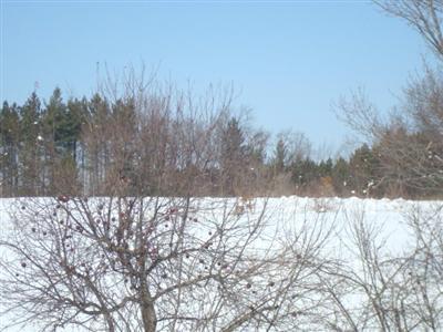 68215 Territorial Road Benton Harbor, MI 49022 - Photo 9 of 16 Additional Photo