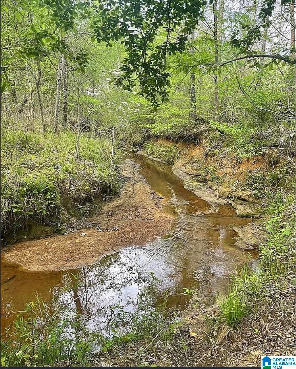 130 Honeycut Road Randolph, AL 36792 - Photo 14 of 49