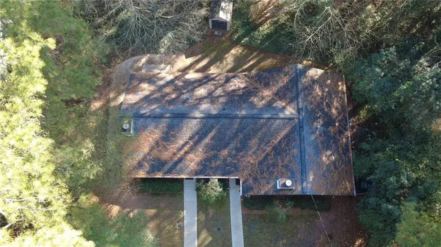 a close up of a tree in a yard