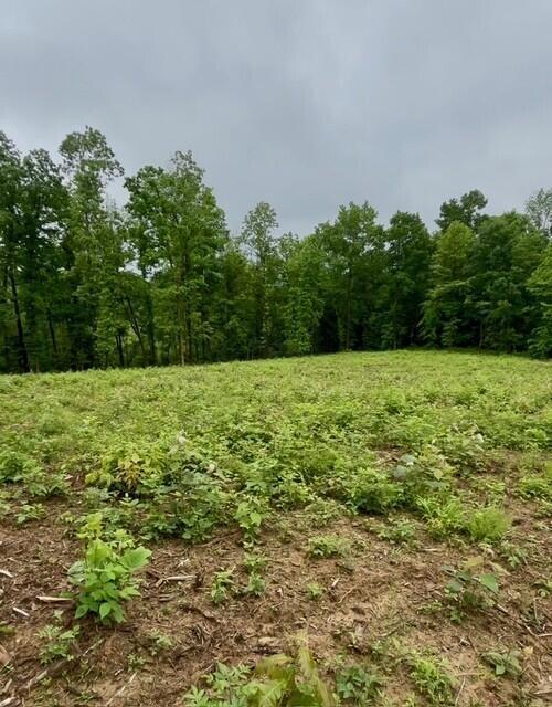 23085 Jordan Run Road Coolville, OH 45723 - Photo 8 of 18 37386a74-dafe-421e-b21e-c6596ef3fbee