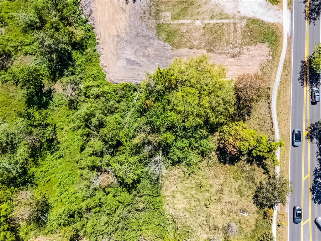 1359 Avalon Road Winter Garden, FL 34787 - Photo 17 of 25 Gallery Image 17