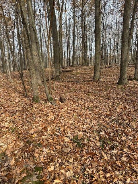 8438 Jordan Road Grand Blanc, MI 48439 - Photo 21 of 32